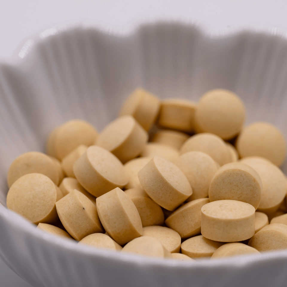 蔵華乳酸菌 乳酸菌サプリ 1g当たり4兆個の乳酸菌 味噌蔵由来の植物性乳酸菌 胃腸の調子が気になる方 油っぽいものを多く食べる方